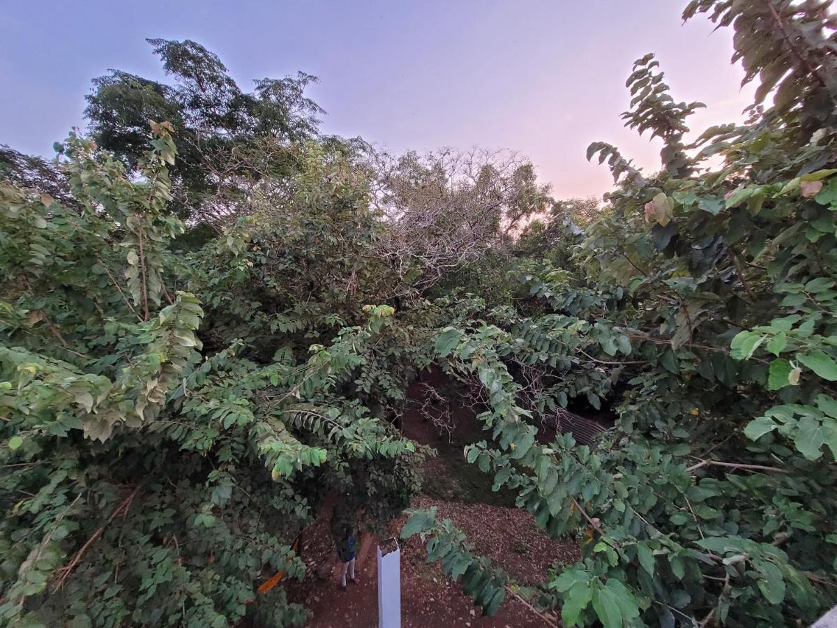 Sunny'S Paradise Gokarna (Karnataka) Zewnętrze zdjęcie