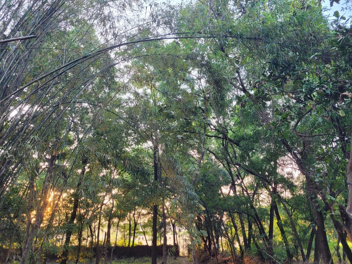 Sunny'S Paradise Gokarna (Karnataka) Zewnętrze zdjęcie