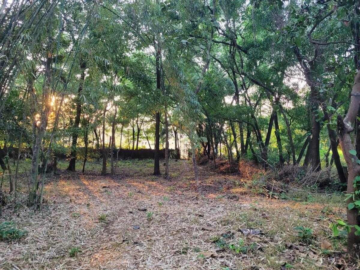 Sunny'S Paradise Gokarna (Karnataka) Zewnętrze zdjęcie