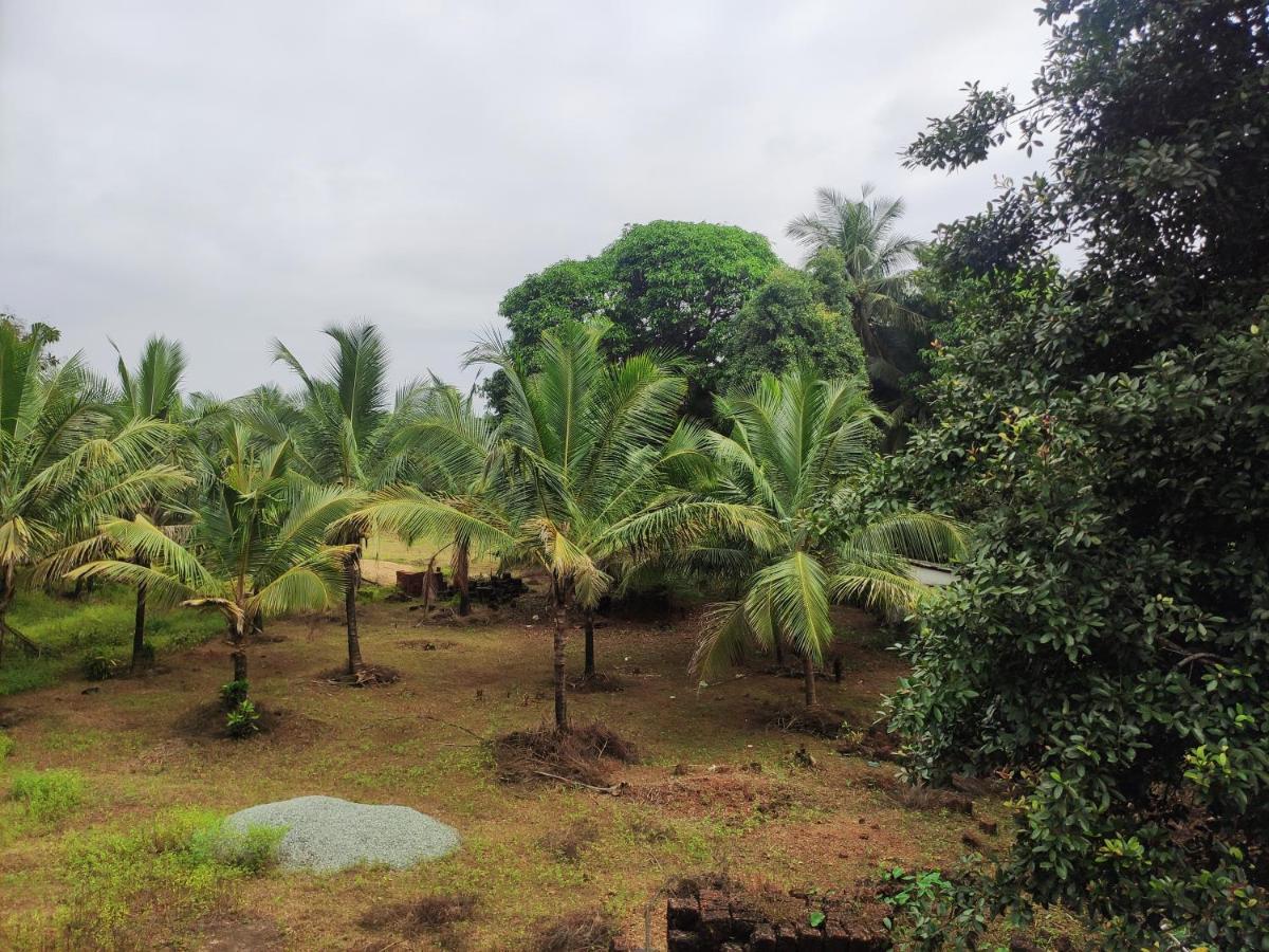Sunny'S Paradise Gokarna (Karnataka) Pokój zdjęcie